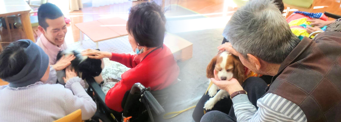 %e3%82%a2%e3%83%8b%e3%83%9e%e3%83%ab%e3%82%bb%e3%83%a9%e3%83%94%e3%83%bc%e3%80%80%e4%b8%8a%e9%83%a8%e7%94%bb%e5%83%8f